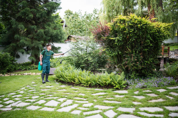 Best Mosquito Control Services  in Tucson Estates, AZ