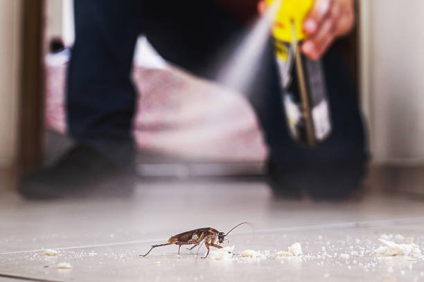 Best Affordable Pest Control Services  in Tucson Estates, AZ